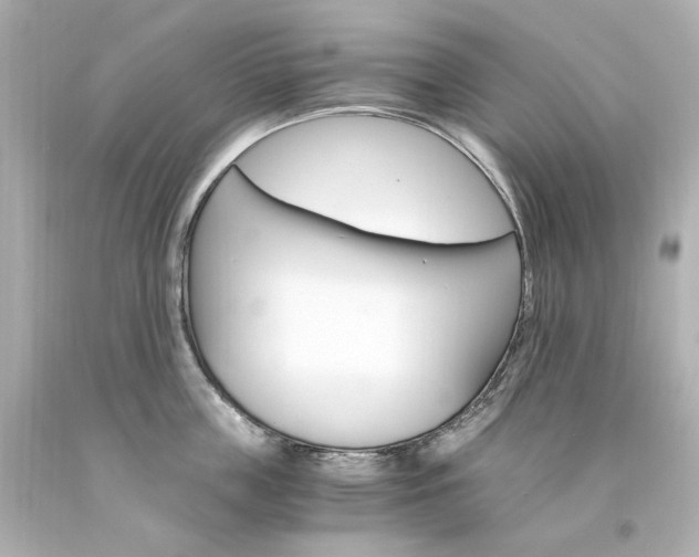 X0000094360859200711021334