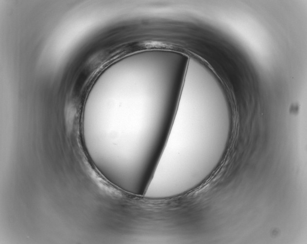 X0000094360861200711021334