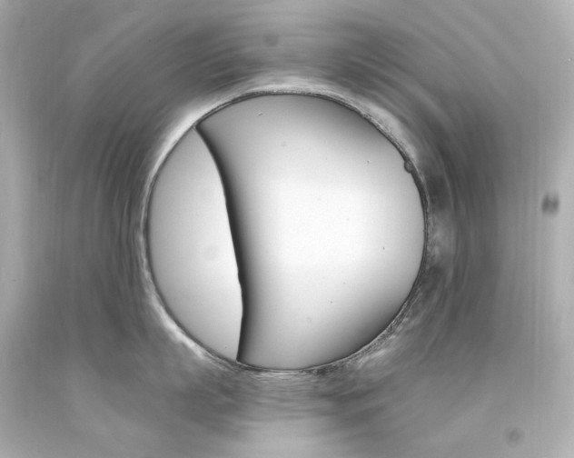 X0000094360863200711021334