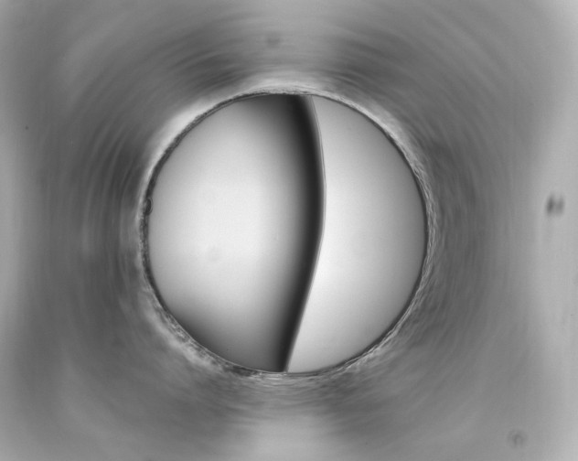 X0000094360864200711021335