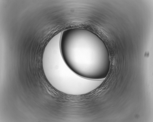 X0000094360868200711021334