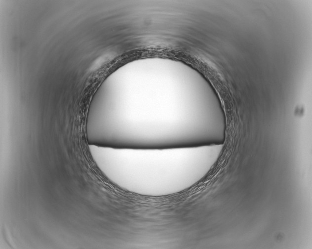X0000094360869200711021334