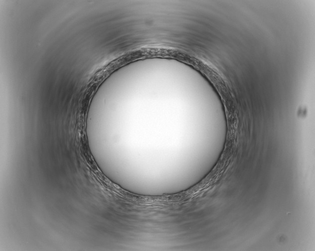 X0000094360870200711021334