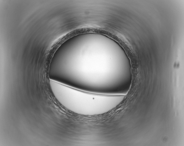 X0000094360872200711021334