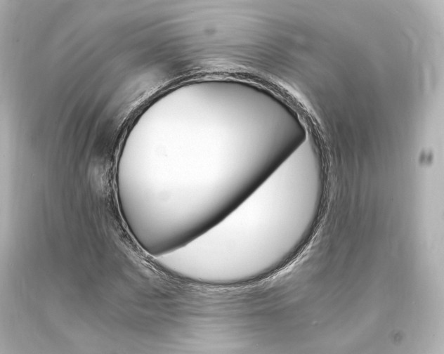 X0000094360873200711021334