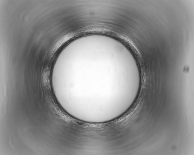 X0000094360874200711021334