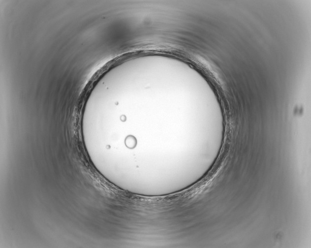 X0000094360875200711021334
