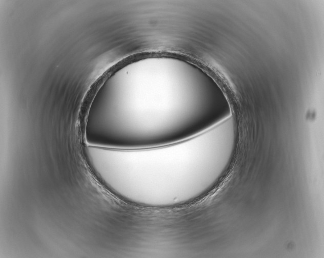 X0000094360876200711021334