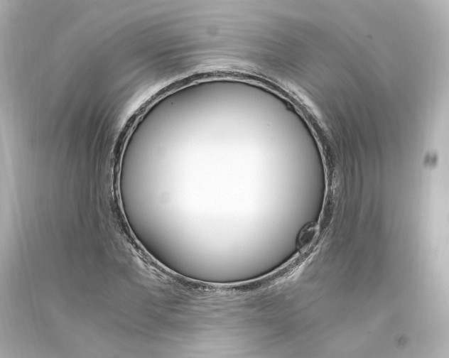 X0000094360877200711021334