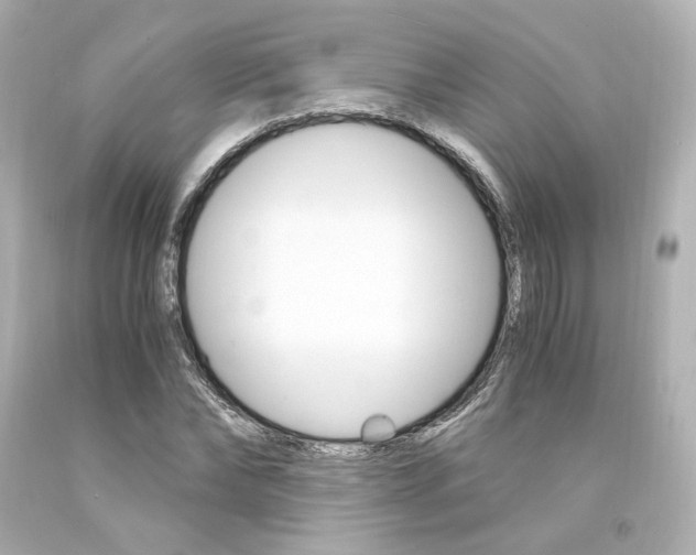 X0000094360878200711021334