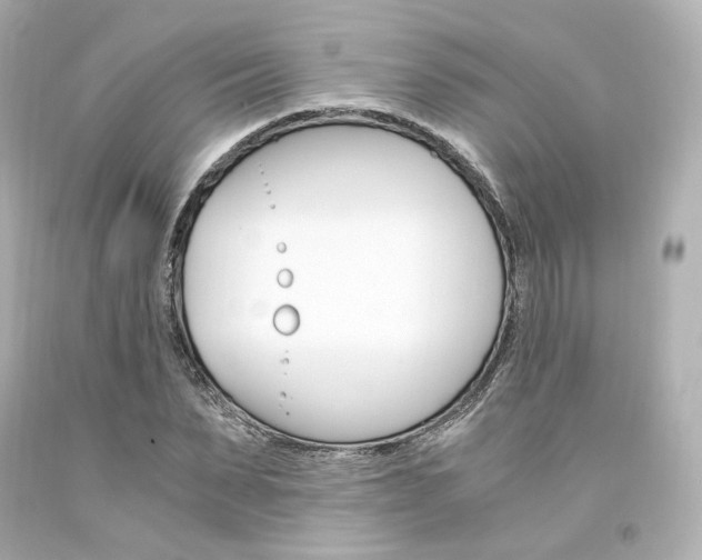 X0000094360879200711021334