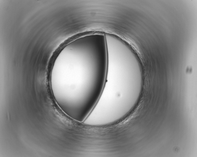 X0000094360880200711021333