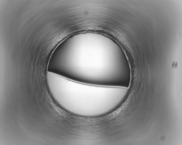 X0000094360881200711021333