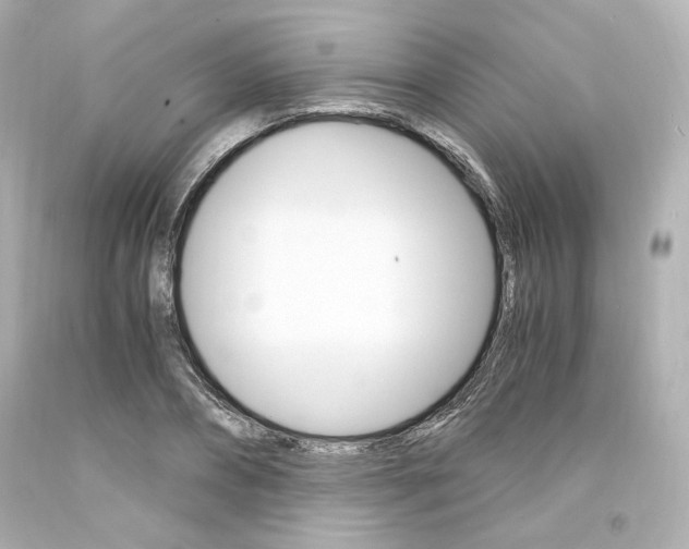 X0000094360882200711021333