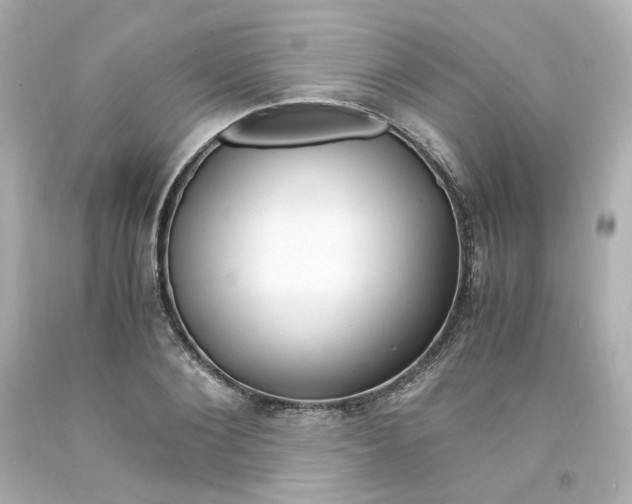 X0000094360884200711021333