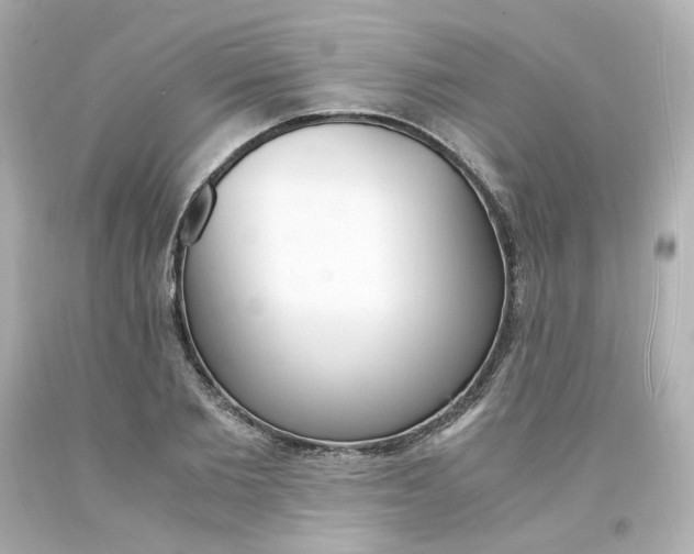 X0000094360885200711021333