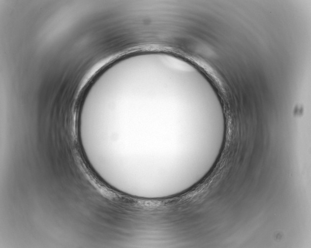 X0000094360886200711021333
