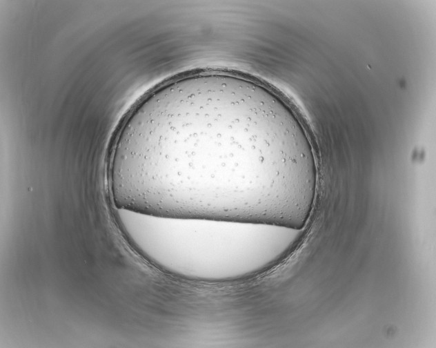 X0000094360887200711021333