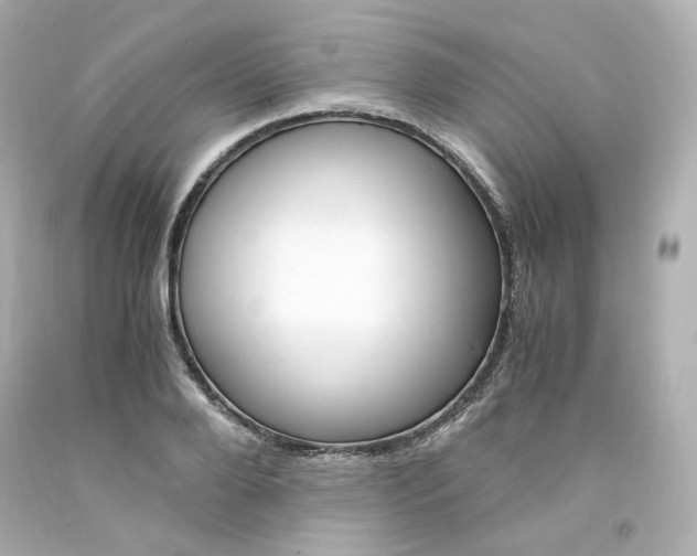 X0000094360888200711021333