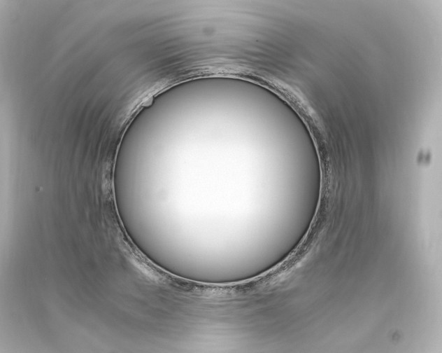 X0000094360889200711021333