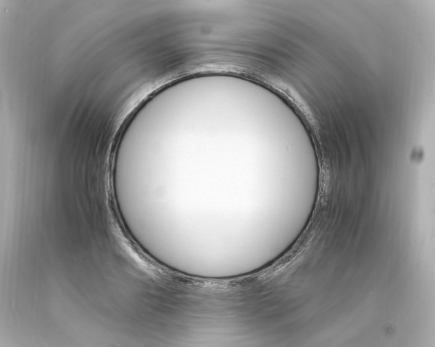 X0000094360890200711021333