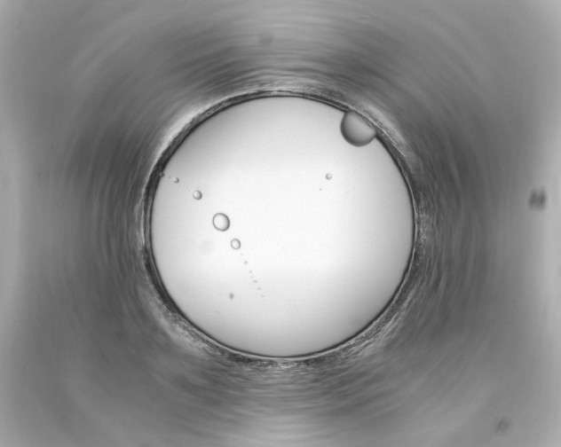 X0000094360891200711021333