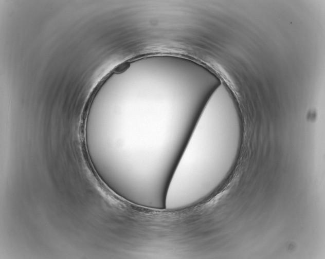 X0000094360893200711021333