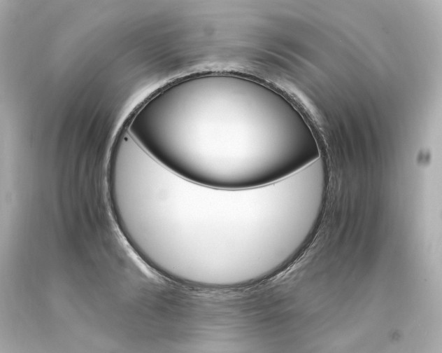 X0000094360894200711021333