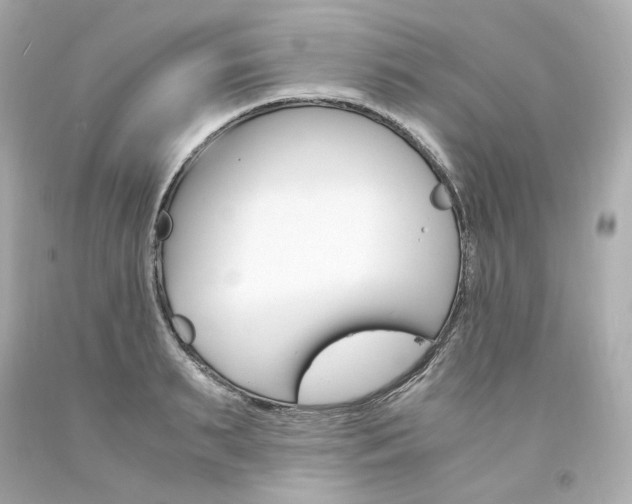 X0000094360895200711021333