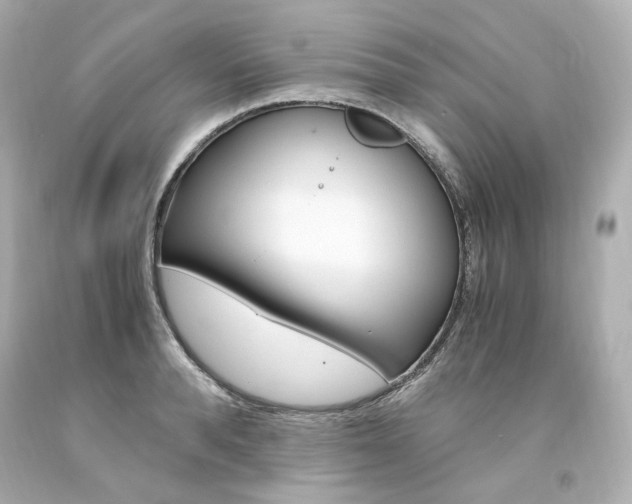 X0000094360896200711021333