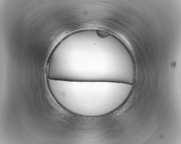 X0000094360899200711021333