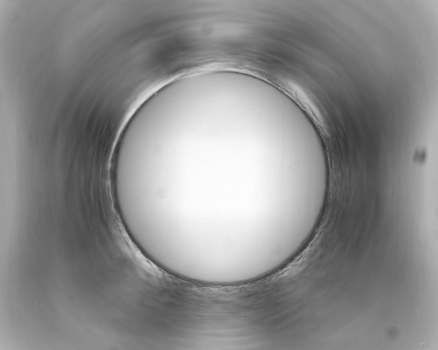 X0000094360900200711021333