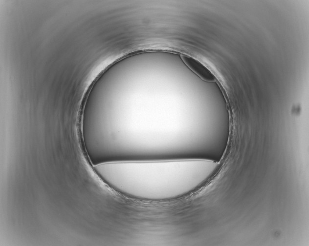 X0000094360901200711021333