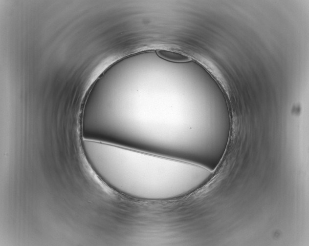 X0000094360906200711021333