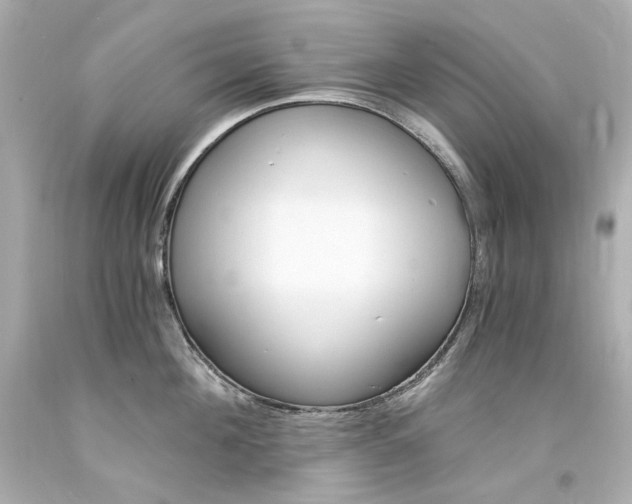 X0000094360908200711021333