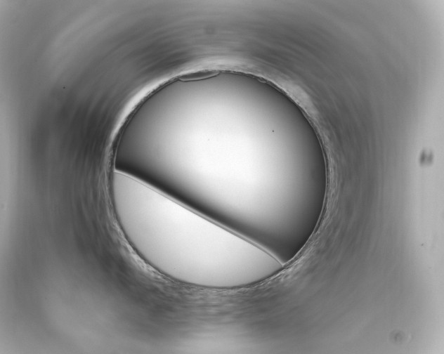 X0000094360912200711021333
