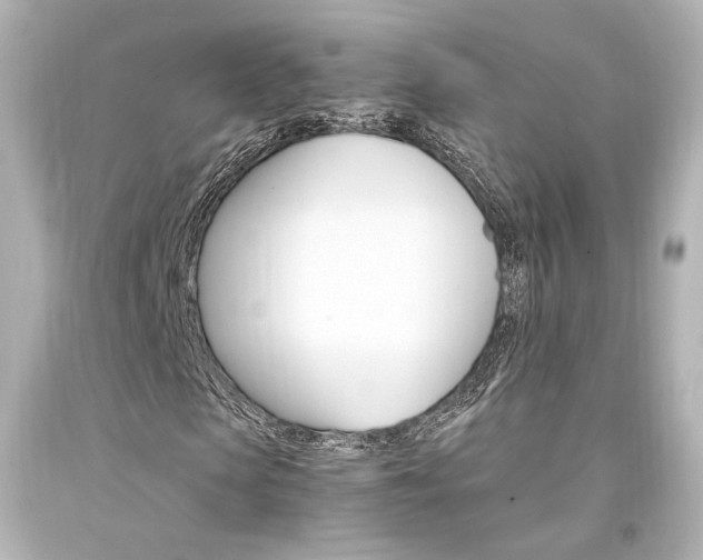 X0000094360913200711021332