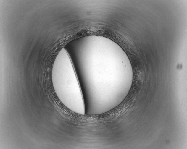 X0000094360914200711021332
