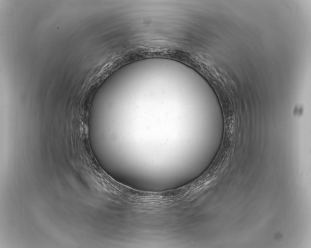 X0000094360916200711021332