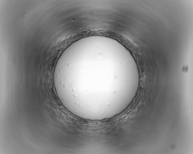 X0000094360917200711021332