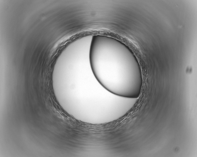 X0000094360920200711021332