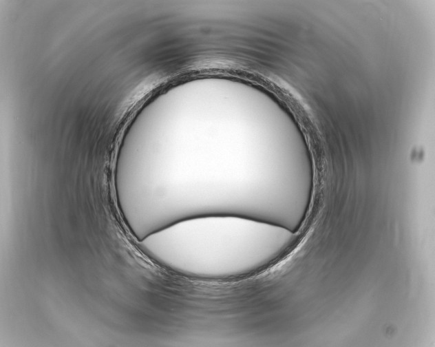 X0000094360921200711021332