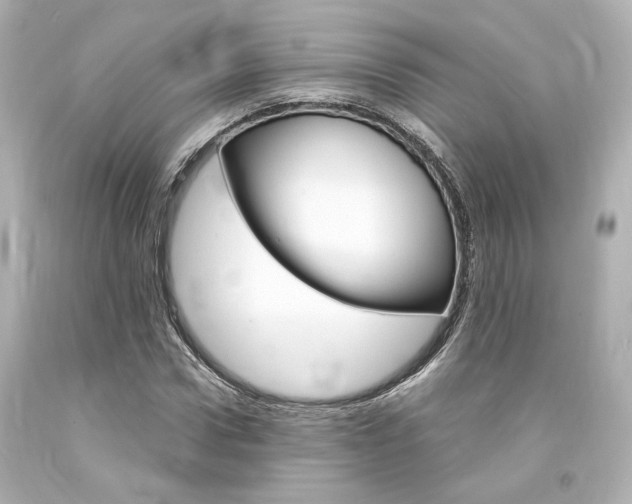 X0000094360922200711021332