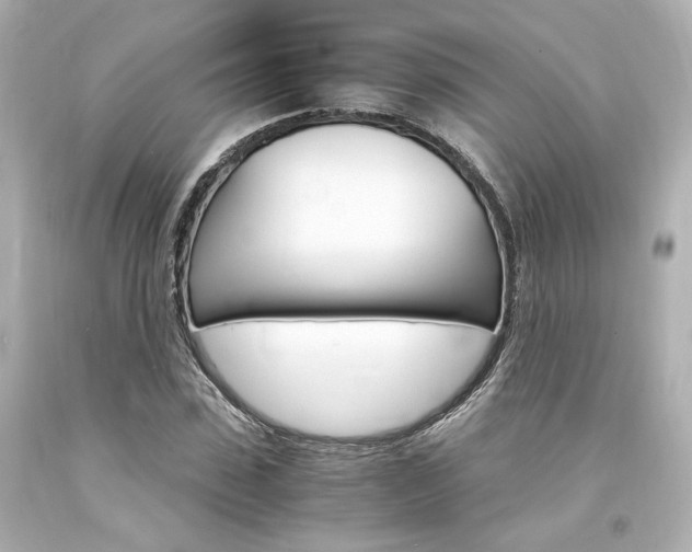 X0000094360923200711021332