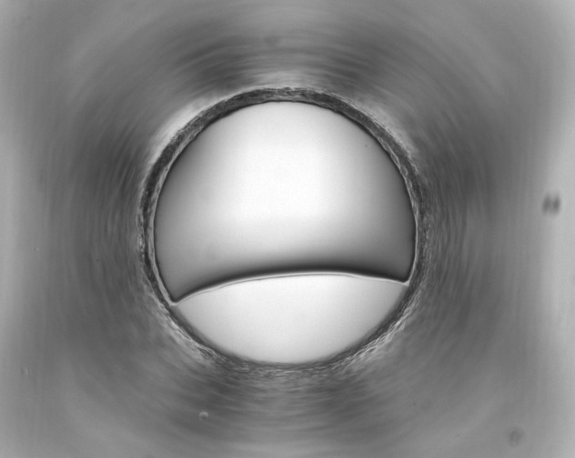 X0000094360927200711021332