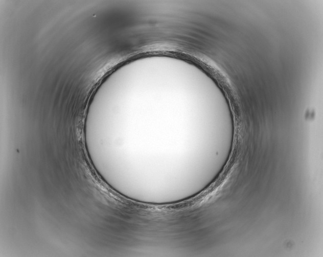 X0000094360929200711021332