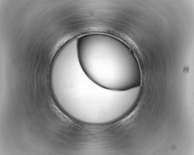 X0000094360930200711021332