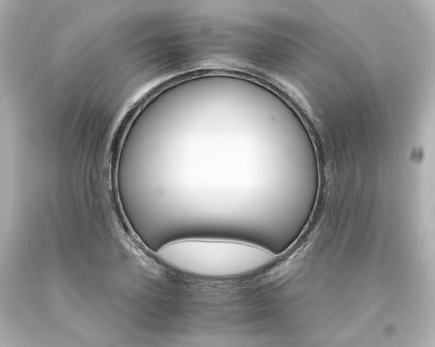 X0000094360931200711021332