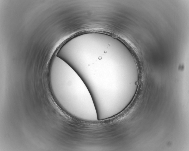 X0000094360933200711021332