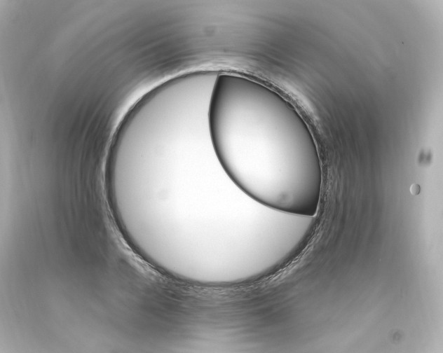 X0000094360936200711021332